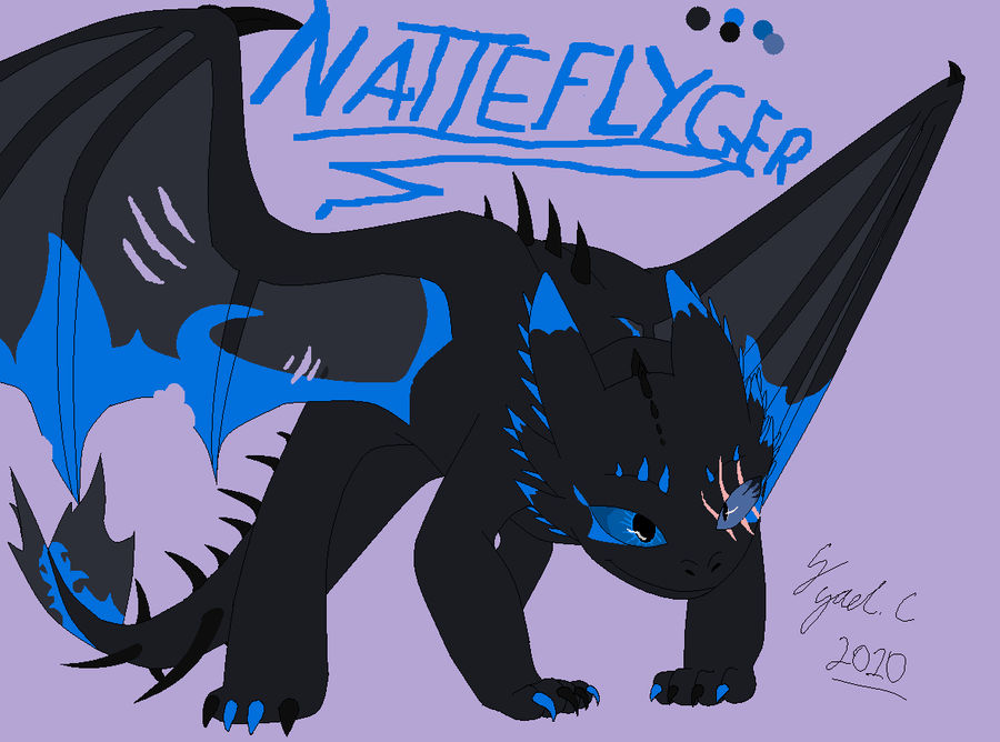part 1. httyd ref. sheet by Nicky-the-dragoness on DeviantArt