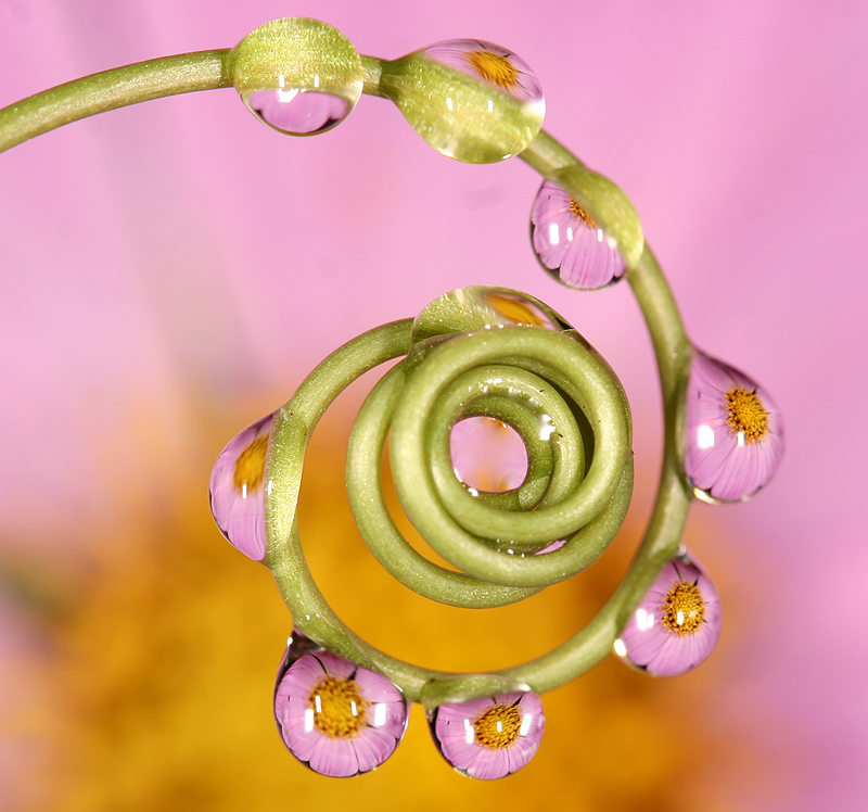 Spiral drops