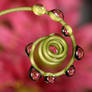 Spiral droplets