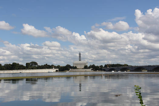 Capital Reflection