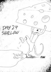 Day24-Shallow
