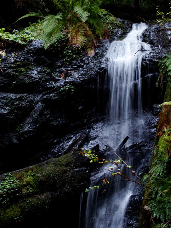 Falling Water