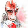 Mordin Solus