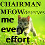 Chairman Meow