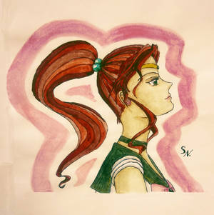 sailor jupiter