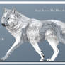 Lumen Adopt // FlatSale OPEN