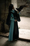Raven of Ravenclaw by Aquamirral Raven of Ravenclaw by Aquamirral