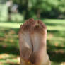 Autumn Feet 008
