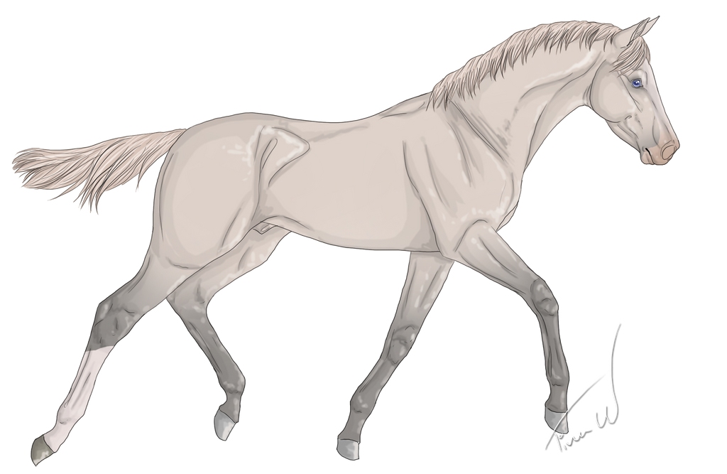 Buddy Holly by Shangol on DeviantArt