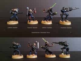 Assassinorum Execution Force