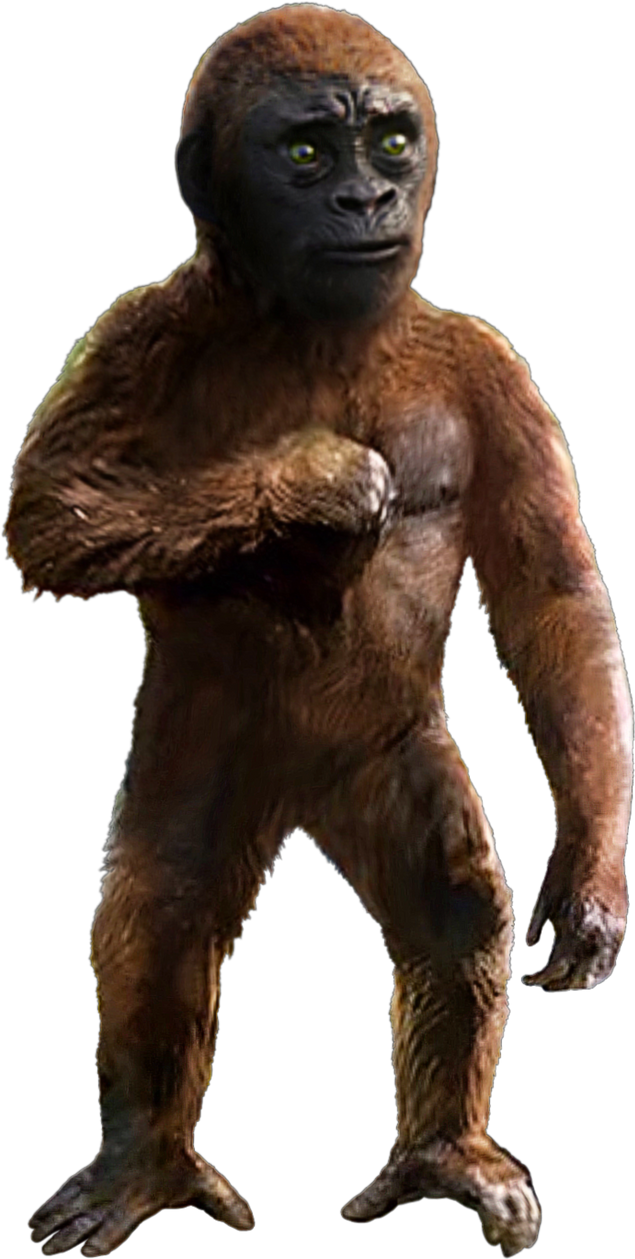 Suko (The New Empire) by Steampunk671213 on DeviantArt