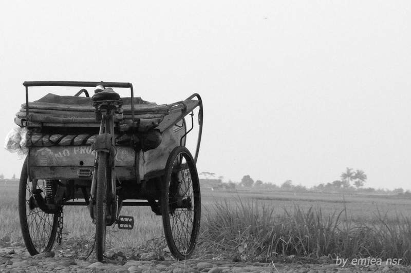 A Poem of Post-Harvest