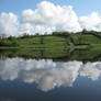 Irish Reflections 2