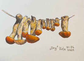 Dry