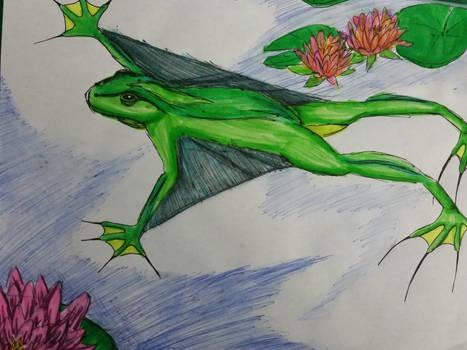 Frogodactyl study: flight#2