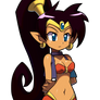 Shantae Recolour - dark hair