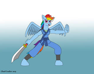 MLP FiM Wushu Arms: Rainbow Dash by BaroqueWolfe