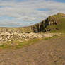 dunstanburgh