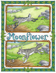 Moonflower cover