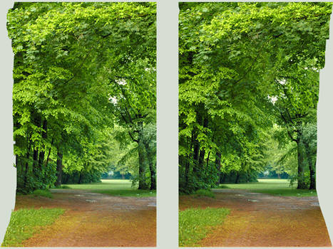 Stereo Cross View of a park 3D