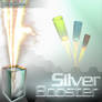 Silver Booster 2004