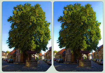 Wernigerode HyperTree 3D ::: HDR Cross-Eye