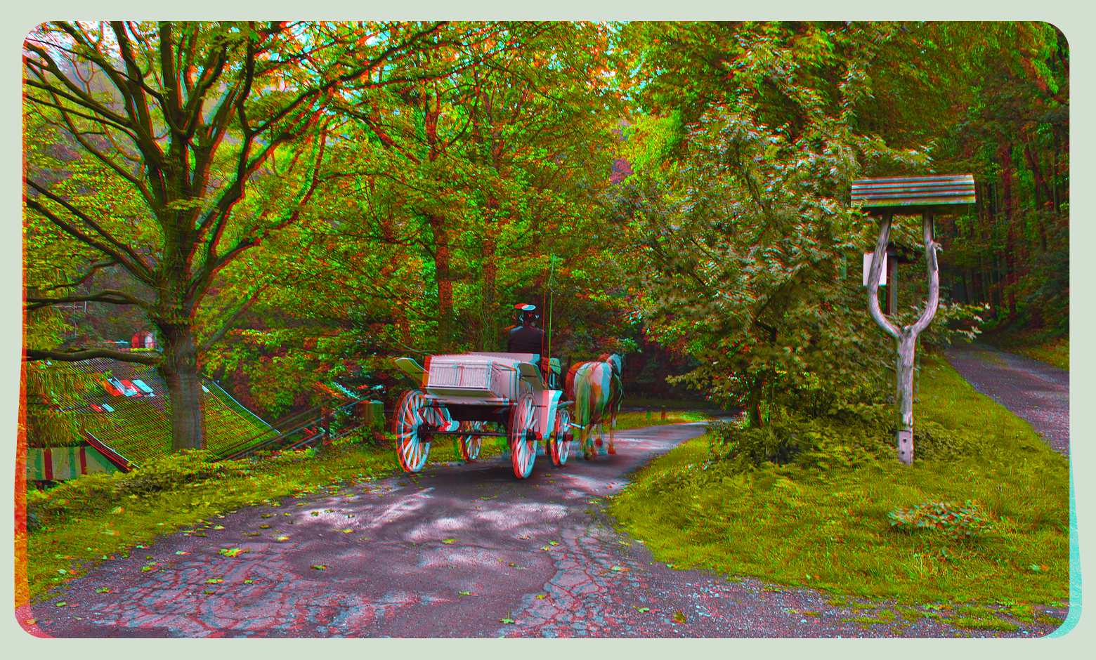 Carriage ride into the woods 3D ::: HDR Anaglyph