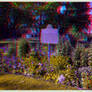 The Chicora Incident of 1870 ANAGLYPH Raw/HDR-3-D