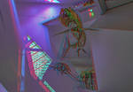 Royal Ontario Museum 3-D / Anaglyph / Stereoscopy by Stereotron-3D