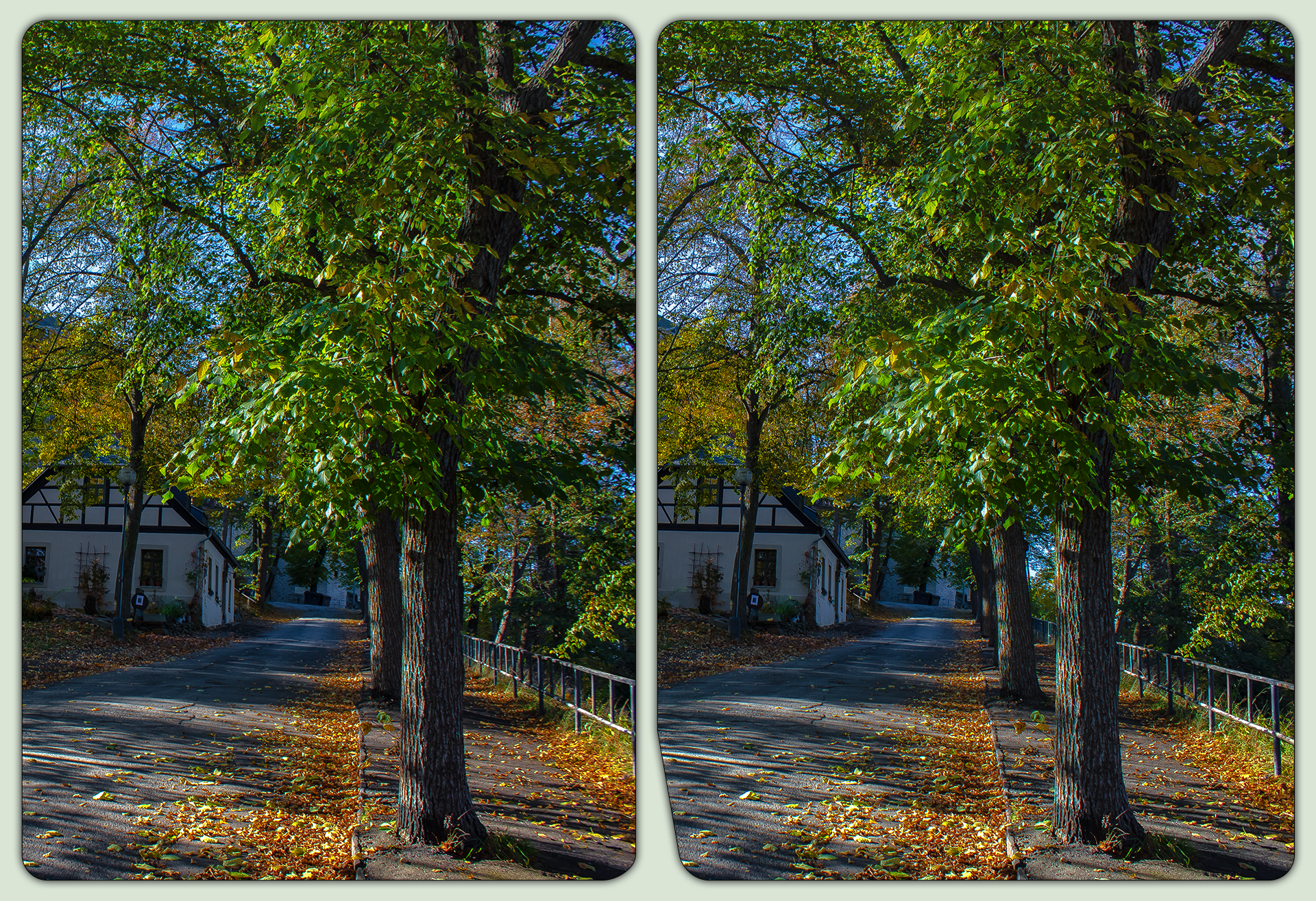 Burg Mylau 3-D / Stereoscopic / CrossView / HDR