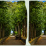 Glimpse of Eternity 3-D / CrossEye / Stereoscopy
