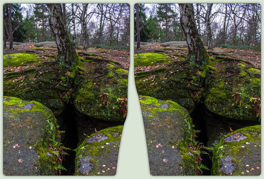 Crevice 3-D / CrossView / Stereoscopy / HDRaw