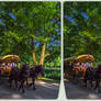 Carriage ride 3-D / CrossView / Stereoscopy / HDR