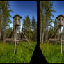 Perch 3-D / CrossView / Stereoscopy