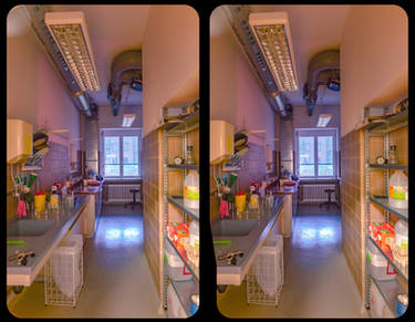 Laboratory 3-D / CrossView / Stereoscopy