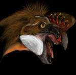 Oviraptor philoceratops by Parula