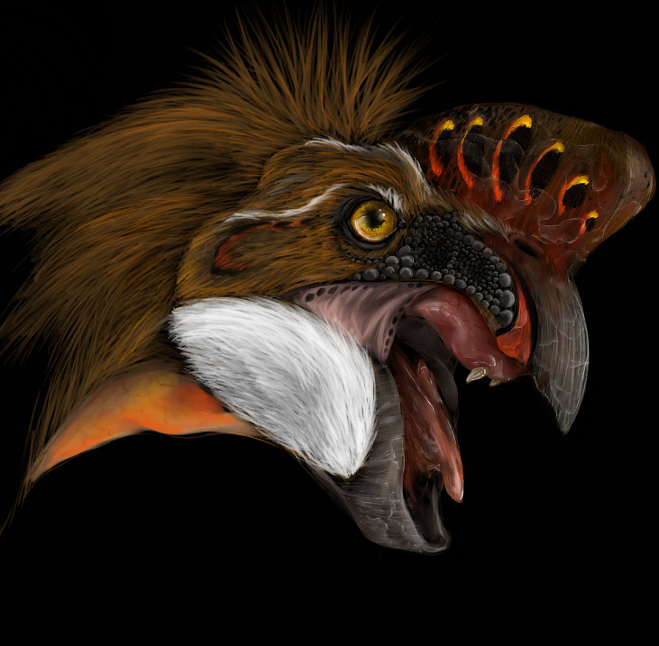 Oviraptor philoceratops