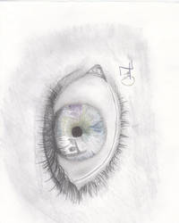 Eye