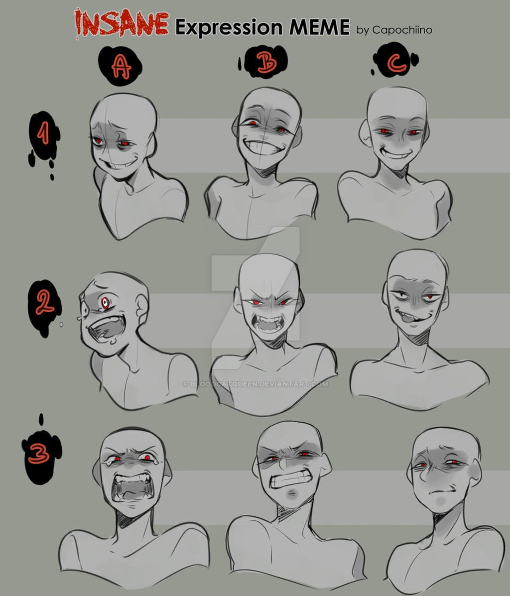 Insane Expression Meme By Bloodcatqueen On Deviantart Insane Expression Meme By Bloodcatqueen On Deviantart