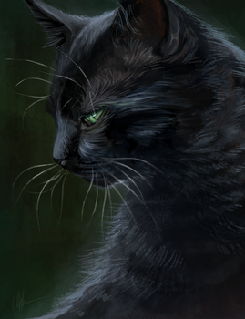 Hollyleaf