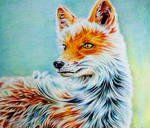 ~INTO tHE wILD~ by Fajralam