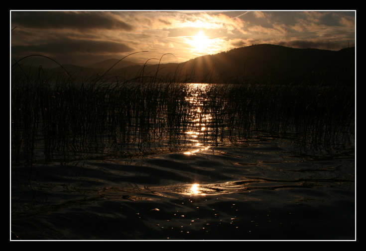 the lake III - a sunny...