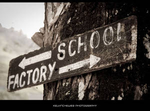 :: school N factory ::