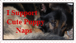 I Support Puppy Naps