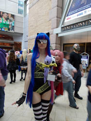 Stocking- AB 2012