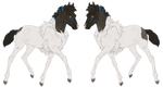 8860 | Foal Design by RedRobinEC