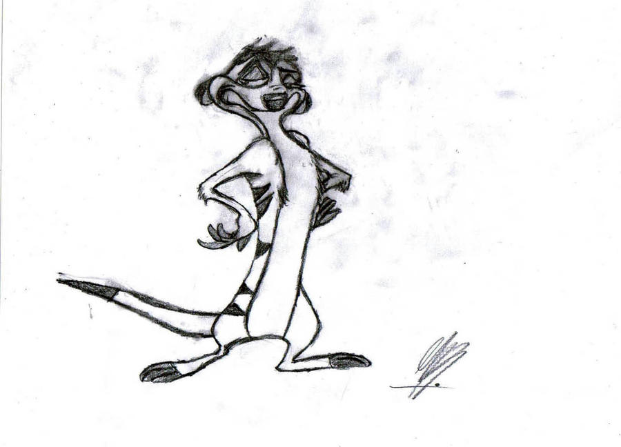 Timon by MarvelMIKE on DeviantArt