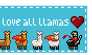 llama love