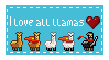 llama love by rainylake