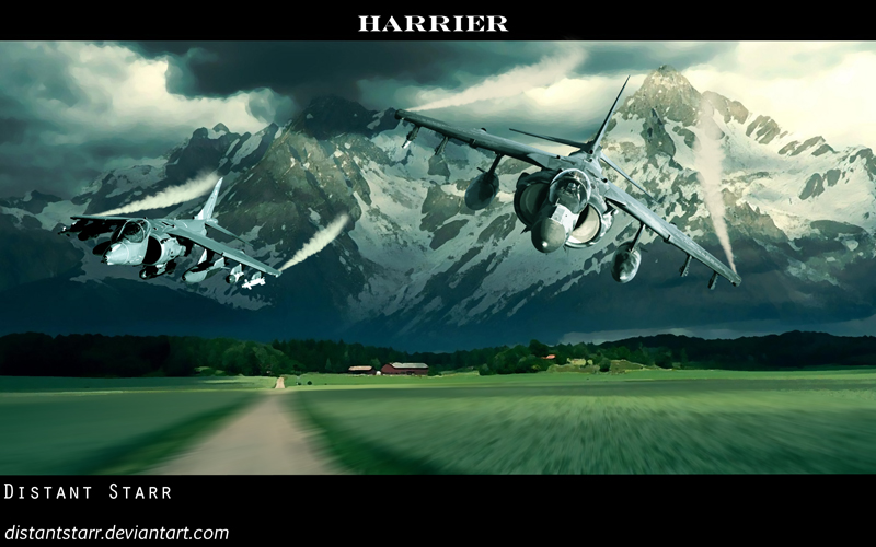 Harrier Pasture